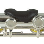 Miscellaneous flute