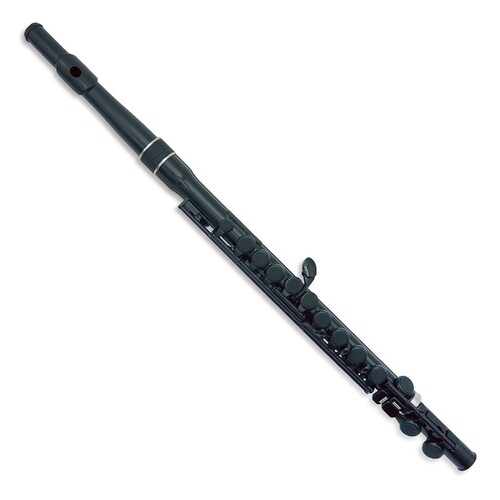 Nuvo student flute 2.0