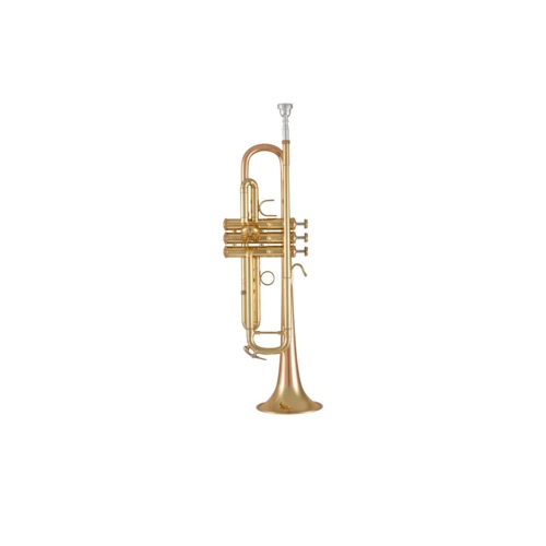 Bach 17043GY Bb trumpet