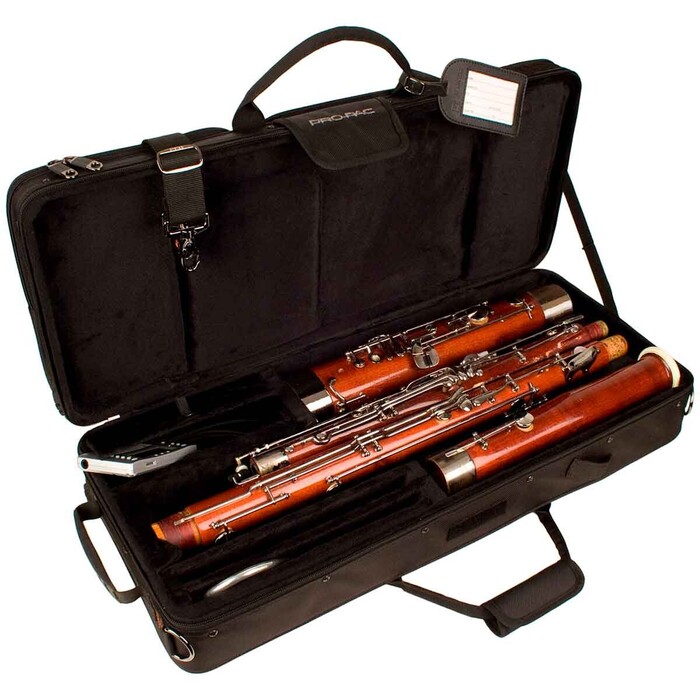 Protec PB317 bassoon case