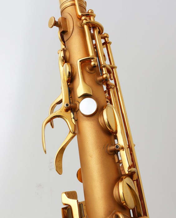 Buy Conn Alto Sax Chu Berry (1930) 229710 Gold Plated World wide