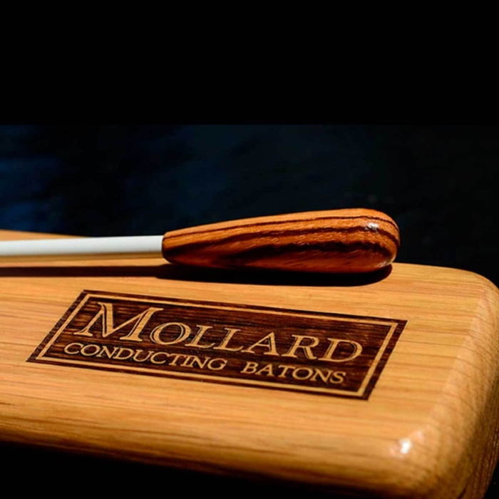 Mollard Case for baton