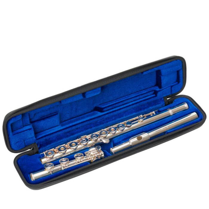 Protec BM308 Micro Zip Flute Case