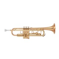 Yamaha YTR-8335EA Bb trompet