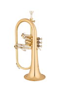 Eastman EFG521G Flygelhorn