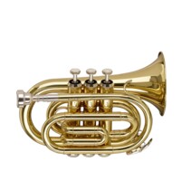 Stagg Bb Pocket Trumpet, Ml-Bore, Brass Body Material