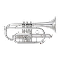 Yamaha YCR-6335SII Bb cornet