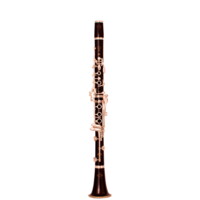Buffet RC Bb-klarinet #F511890