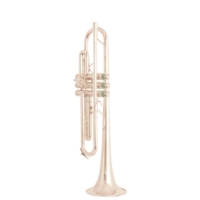 Schilke X3 Bb Trompet (Brugt)